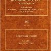 Cingulate Cortex (Volume 166) (Handbook of Clinical Neurology (Volume 166)) 1st Edition