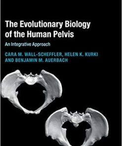 The Evolutionary Biology of the Human Pelvis: An Integrative Approach (Cambridge Studies in Biological and Evolutionary Anthropology) 1st Edition