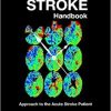 The Code Stroke Handbook: Approach to the Acute Stroke Patient 1st Edition
