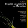 Synapse Development and Maturation: Comprehensive Developmental Neuroscience 1st Edition