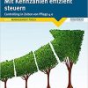 Mit Kennzahlen effizient steuern (German)