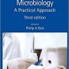 Cosmetic Microbiology: A Practical Approach 3rd Edition
