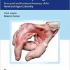 The Grasping Hand: Structural and Functional Anatomy of the Hand and Upper Extremity 1st Edition