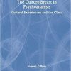 The Culture-Breast in Psychoanalysis: Cultural Experiences and the Clinic 1st Edition