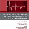 Intracardiac Echo Imaging in Atrial and Ventricular Arrhythmia Ablation, An Issue of Cardiac Electrophysiology Clinics (Volume 13-2) (The Clinics: Internal Medicine, Volume 13-2)