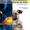 Actualización práctica en la evaluación y el tratamiento del dolor en perros y gatos (Spanish Edition) (EPUB)