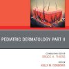 Pediatric Dermatology Part II, An Issue of Dermatologic Clinics , E-Book (The Clinics: Internal Medicine) (PDF)