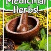 Medicinal Herbs! Discover This Guide About How To Effectively Use Medicinal Herbs For Beginner’s (EPUB)