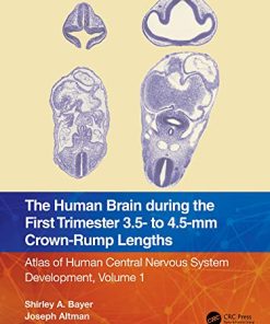 The Human Brain during the First Trimester 3.5- to 4.5-mm Crown-Rump Lengths: Atlas of Human Central Nervous System Development, Volume 1 (PDF)
