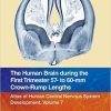 The Human Brain during the First Trimester 57- to 60-mm Crown-Rump Lengths: Atlas of Human Central Nervous System Development, Volume 7 (PDF)