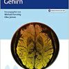 Referenz Radiologie – Gehirn (PDF)