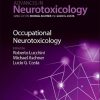 Occupational Neurotoxicology (PDF Book)