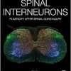 Spinal Interneurons: Plasticity after Spinal Cord Injury (EPUB)
