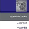 Neuromodulation, An Issue of Psychiatric Clinics of North America (Volume 41-3) (The Clinics: Internal Medicine, Volume 41-3) (PDF)