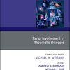 Renal Involvement in Rheumatic Diseases, An Issue of Rheumatic Disease Clinics of North America (Volume 44-4) (The Clinics: Internal Medicine, Volume 44-4) (PDF Book)