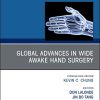 Global Advances in Wide Awake Hand Surgery, An Issue of Hand Clinics (Volume 35-1) (The Clinics: Orthopedics, Volume 35-1) (PDF)