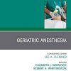 Geriatric Anesthesia, An Issue of Anesthesiology Clinics (Volume 37-3) (The Clinics: Internal Medicine, Volume 37-3) (PDF)