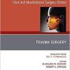 Trauma Surgery, An Issue of Atlas of the Oral & Maxillofacial Surgery Clinics (Volume 27-2) (The Clinics: Dentistry, Volume 27-2) (PDF)