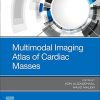 Multimodal Imaging Atlas of Cardiac Masses (PDF Book)