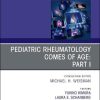 Pediatric Rheumatology Comes of Age: Part I, An Issue of Rheumatic Disease Clinics of North America (Volume 47-4) (The Clinics: Internal Medicine, Volume 47-4) (PDF)