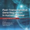 Post-transcriptional Gene Regulation in Human Disease (Volume 32) (Translational Epigenetics, Volume 32) (EPUB)