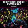 The Developing Brain and its Connections (PDF)