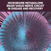 Microbiome Metabolome Brain Vagus Nerve Circuit in Disease and Recovery (EPUB)
