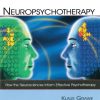 Neuropsychotherapy: How the Neurosciences Inform Effective Psychotherapy (Counseling and Psychotherapy) (EPUB)