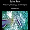 Mechanical Lumbosacral Spine Pain: Anatomy, Histology and Imaging (PDF)