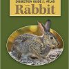 A Dissection Guide & Atlas to the Rabbit (PDF)