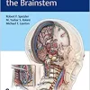 Surgery of the Brainstem (EPUB)