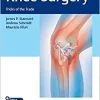 Knee Surgery: Tricks of the Trade (EPUB)