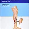 Lower Extremity Reconstruction: A Practical Guide (EPUB)
