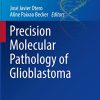 Precision Molecular Pathology of Glioblastoma (Molecular Pathology Library) (PDF)