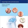 The Frontal Sinus: Surgical Approaches and Controversies (EPUB)
