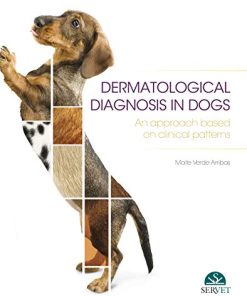 Dermatologic diagnosis in the dog. An approach based on skin patterns (EPUB)