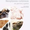 Neoplasias cutáneas en perros y gatos (Spanish Edition) (EPUB)