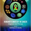 Bionanotechnology in Cancer: Diagnosis and Therapy (EPUB)
