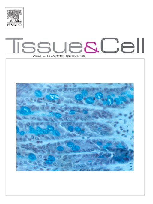 Tissue and Cell: Volume 80 to Volume 85 2023 PDF