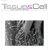 Tissue and Cell: Volume 80 to Volume 85 2023 PDF