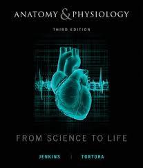 Anatomy and Physiology: From Science to Life, 3rd Edition, ed
