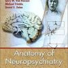Anatomy of Neuropsychiatry: The New Anatomy of the Basal Forebrain and Its Implications for Neuropsychiatric Illness 1st Edition