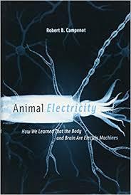 Animal Electricity: How We Learned That the Body and Brain Are Electric Machines