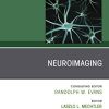 Neuroimaging, An Issue of Neurologic Clinics (Volume 38-1) (The Clinics: Radiology, Volume 38-1) (PDF Book)