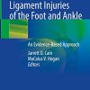 Tendon and Ligament Injuries of the Foot and Ankle: An Evidence-Based Approach (EPUB)