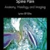 Mechanical Lumbosacral Spine Pain: Anatomy, Histology and Imaging (EPUB)