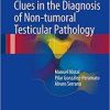 Clues in the Diagnosis of Non-tumoral Testicular Pathology 1st ed