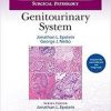 Differential Diagnoses in Surgical Pathology: Genitourinary System First Edition