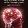 Environmental Experience and Plasticity of the Developing Brain 1st Edition