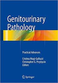 Genitourinary Pathology: Practical Advances 2015th Edition